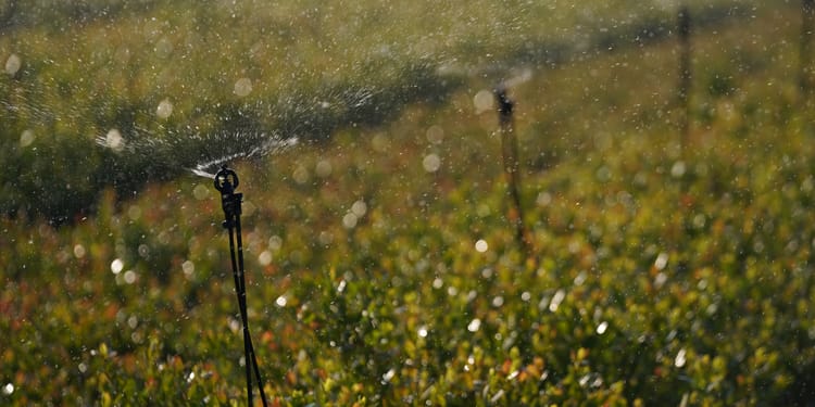 SPRINKLERS IRRIGATION – MUCH MORE THAN JUST IRRIGATION