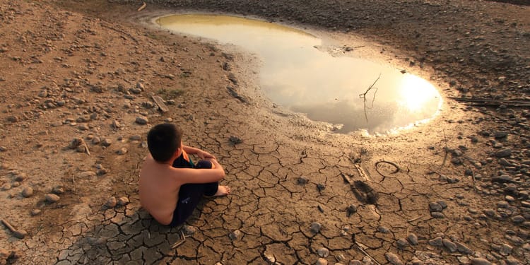 SUSTAINABLE AGRICULTURE