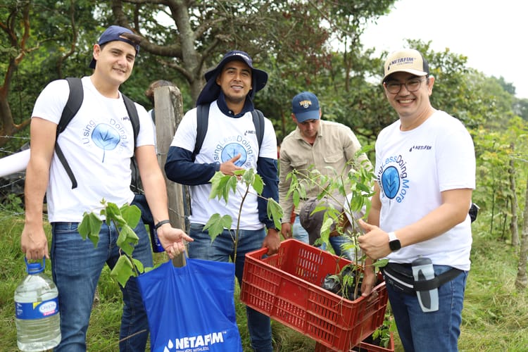People volunteering and planting plants