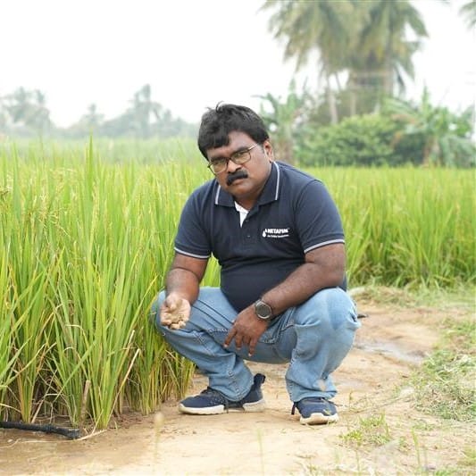 Sabarinathan R., Agronom global specializat în cultura de orez