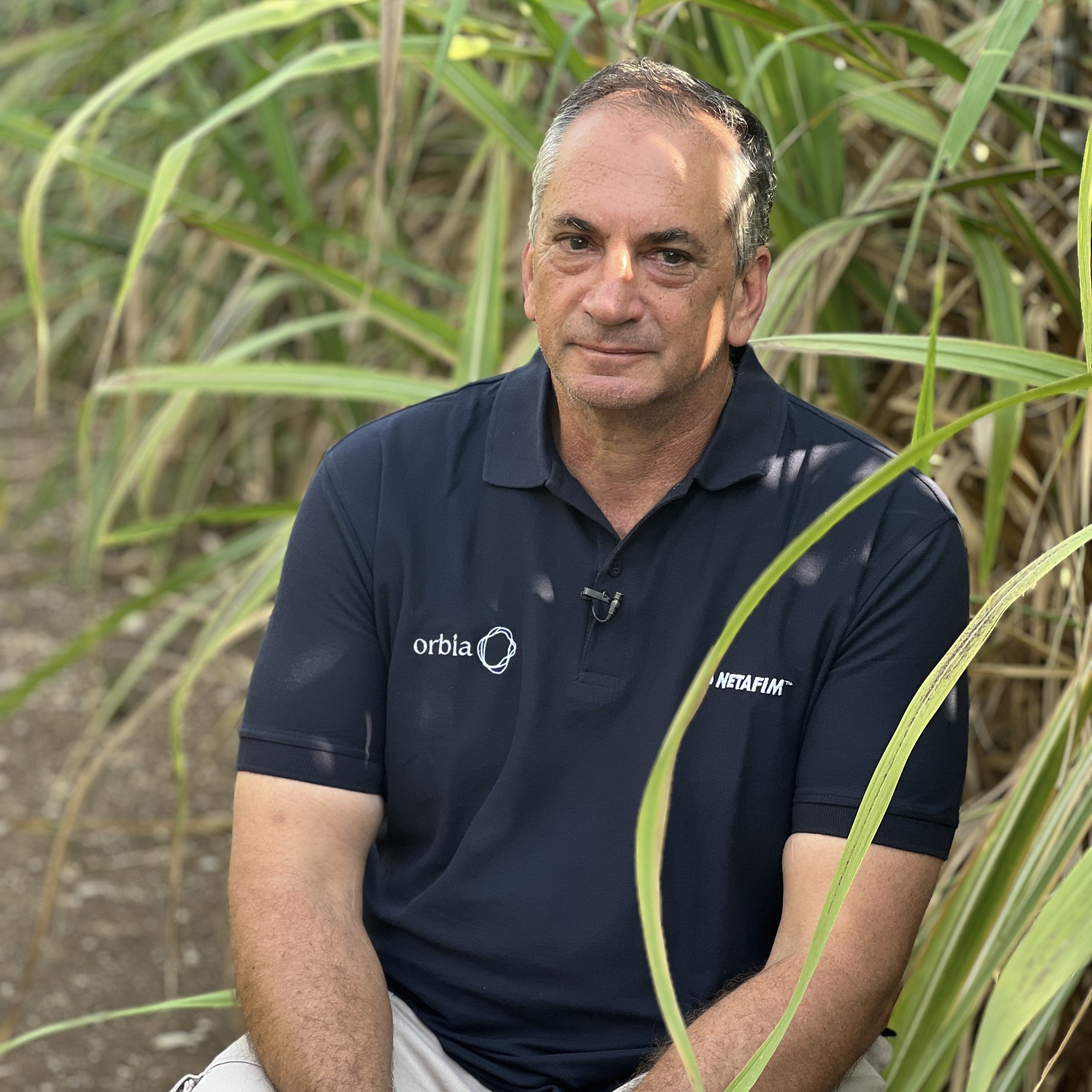 Yoram Krontal, Agronom senior specializat în trestia de zahăr