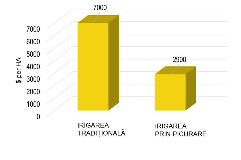 REDUCEREA COSTURILOR DE CONSTRUCȚIE A SISTEMULUI DE IRIGAT netafim