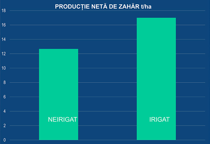 productie neta de zahar