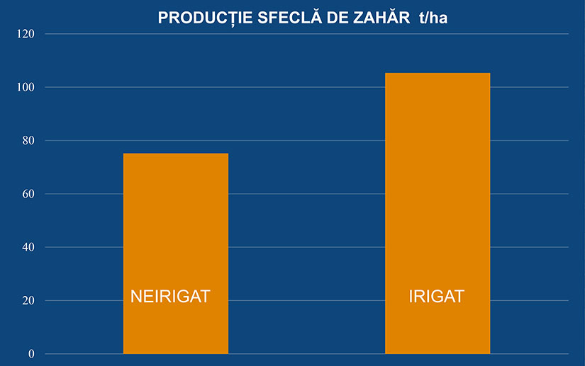 productie sfecla de zahar netafim