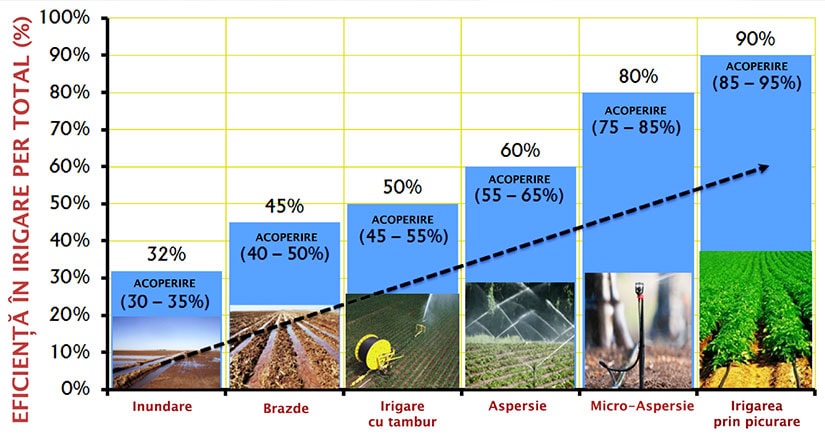 rezultate irigare prin picurare netafim